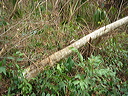 dsc00485